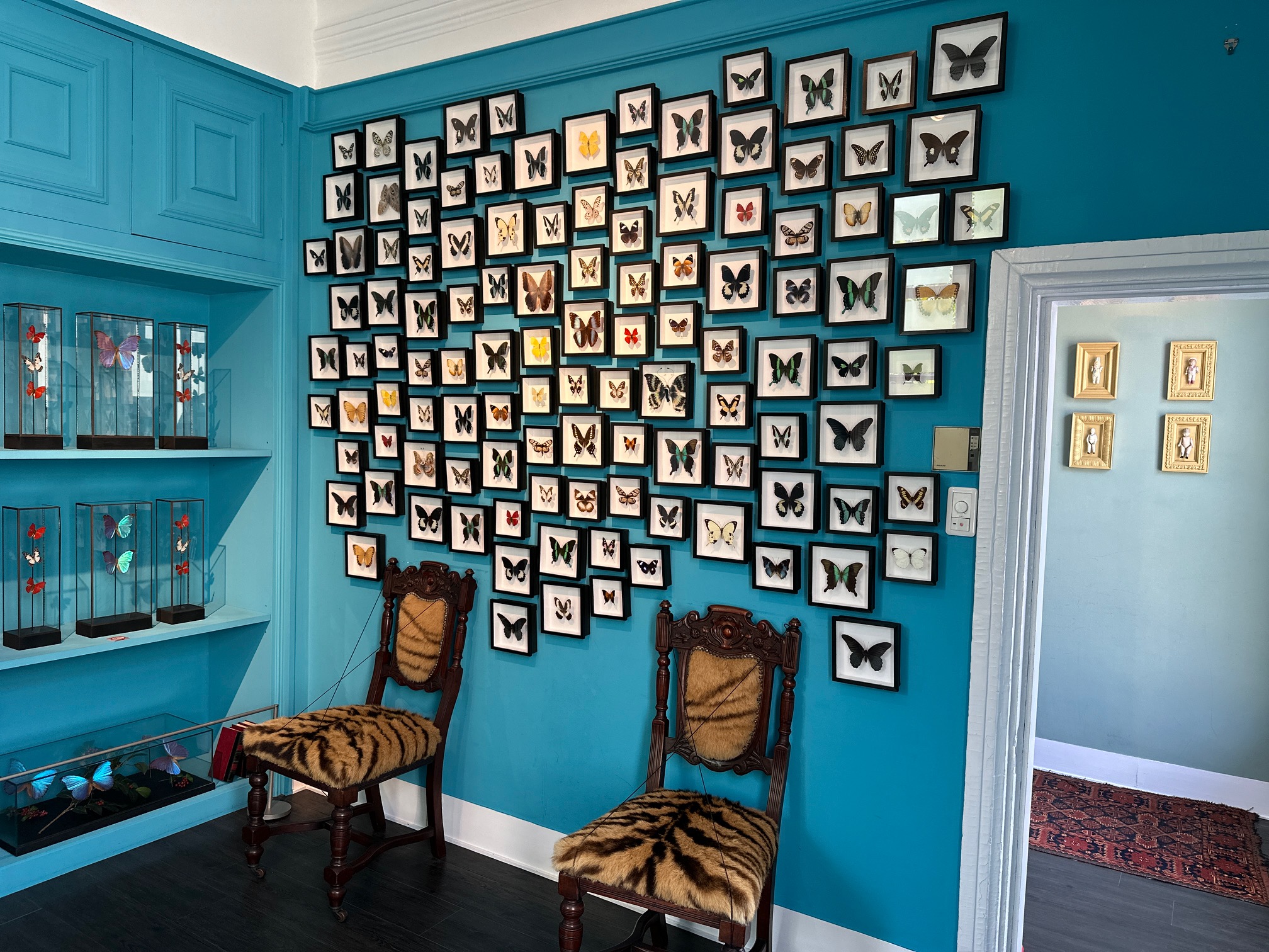 072e4c28aaf13ae3c13837a1f1571f84